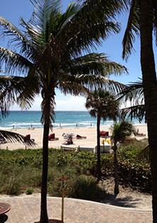 our view